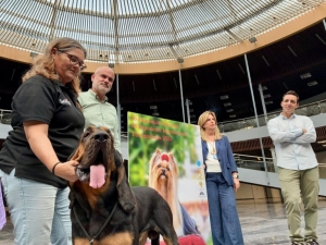 Cerca de 2.000 canes de 153 razas participan en Torremolinos en la feria internacional del perro