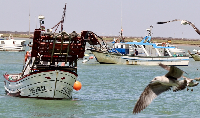 Resueltas ayudas pesqueras y acuícolas por un montante total de 2,35 millones de euros