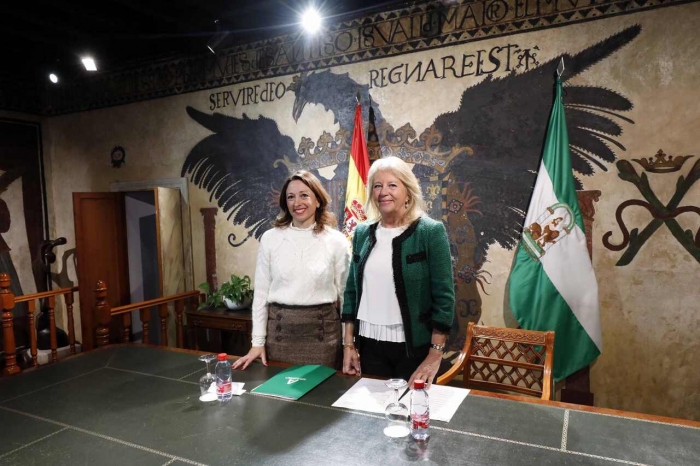 Marbella se beneficiar&aacute; del nuevo decreto de simplificaci&oacute;n administrativa de la Junta, que incluye medidas para favorecer la construcci&oacute;n de VPO y facilitar su acceso a una mayor franja de poblaci&oacute;n