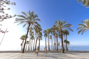 Marbella registra un incremento del 17% de visitantes extranjeros en julio y lidera los indicadores de rentabilidad hotelera en Espa&ntilde;a