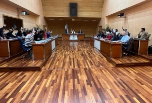 El Pleno de Fuengirola exige al Gobierno de Sánchez que dé marcha atrás en su intención de derogar el delito de sedición del Código Penal