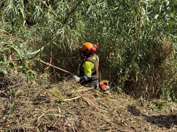Los trabajos de desbroce en arroyos y parcelas municipales superan ya los 110.000 metros cuadrados intervenidos en todo el municipio