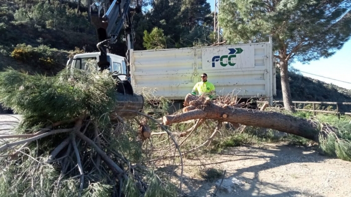 Los temporales de viento en Mijas arrojan da&ntilde;os por valor de 112.000 euros y una significativa p&eacute;rdida de masa vegetal