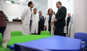 Andaluc&iacute;a aprobar&aacute; el Plan Estrat&eacute;gico de Salud Mental y Adicciones en el primer trimestre de 2026