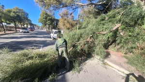 Registradas m&aacute;s de una veintena de intervenciones en el D&iacute;a de Reyes por las fuertes rachas de viento, sin tener que lamentar da&ntilde;os personales