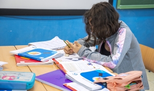 M&aacute;s de 1.500 docentes se forman para lograr el &eacute;xito del alumnado con vulnerabilidad educativa