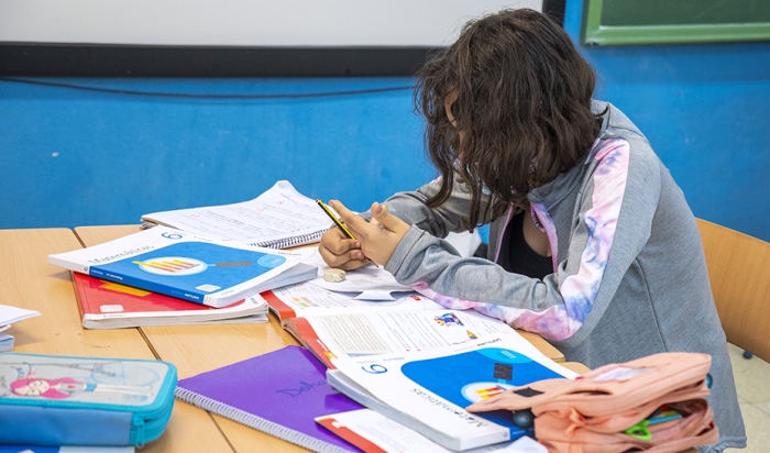 M&aacute;s de 1.500 docentes se forman para lograr el &eacute;xito del alumnado con vulnerabilidad educativa